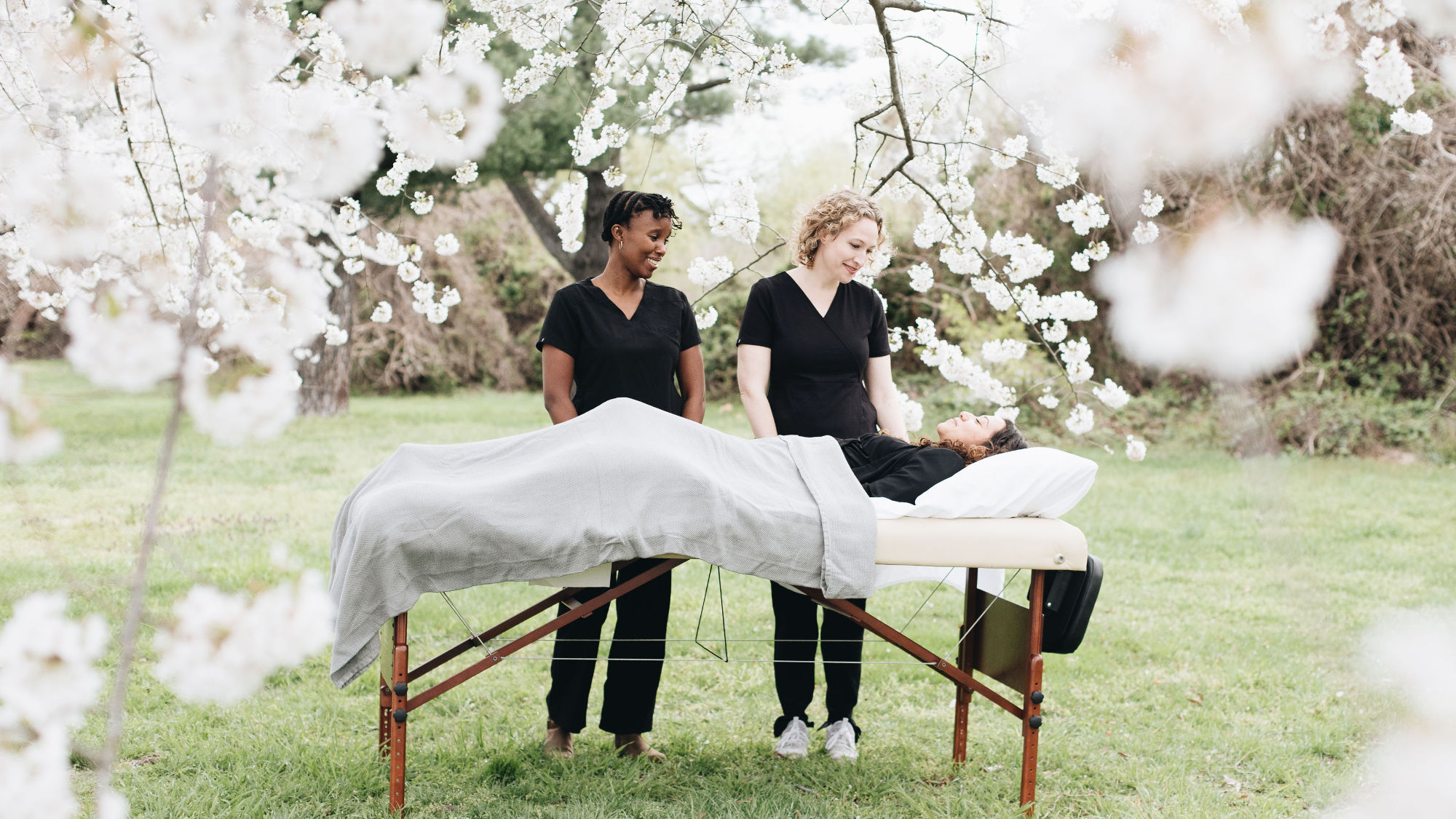 Washington DC Acupuncture Clinic Cherry Blossom Healing Arts